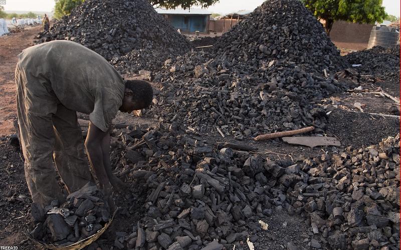 Phân biệt Than Cục và Than Cám - Loại nào phù hợp cho nhà máy của bạn?